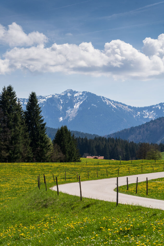 Die Farben des Sommers - sommerliches Landschaftsbild